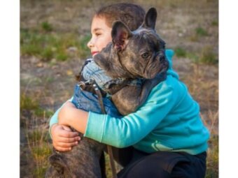 フレンチブルドッグ,リーダー特集,性格