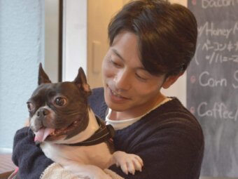 フレンチブルドッグ吉澤悠