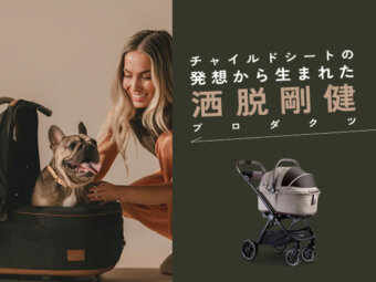 フレンチブルドッグ, TAVO