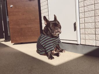 ムッタブリンドル