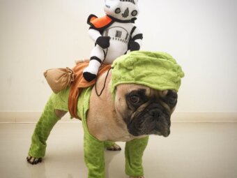 コスプレフレブル