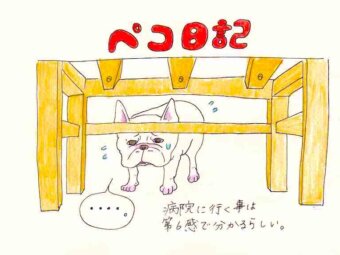 ぺこ日記