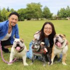 フレンチブルドッグ,イングリッシュブルドッグ,家族,オーナー