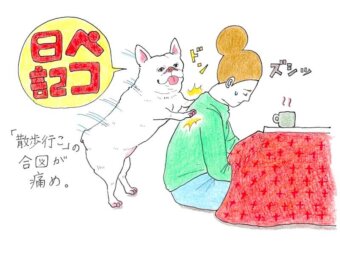ペコ日記