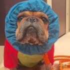 フレブル　ブラックマスク