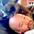 フレンチブルドッグ,動画,イッヌドットライフ