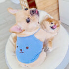 フレブル,Instagram