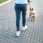 フレンチブルドッグ,しつけ,コマンド