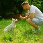 フレンチブルドッグ,個性